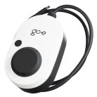 Go-E Gemini 22kW