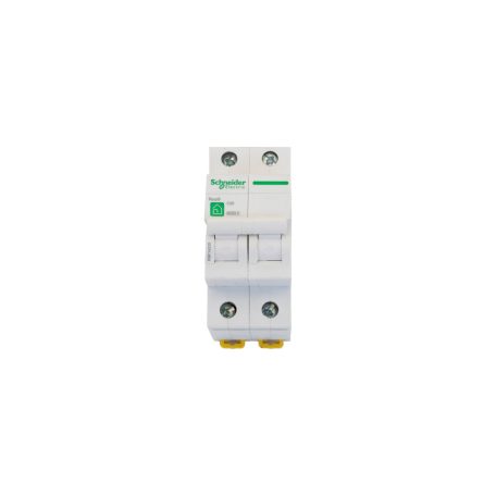 Schneider R9F14220 AC megszakító 2 modul 20A
